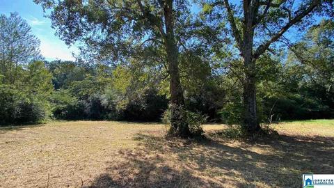 13684 Johns Rd, Vance, AL 35490 photo 9