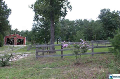 592 County Road 43, Clanton, AL 35046 photo 20