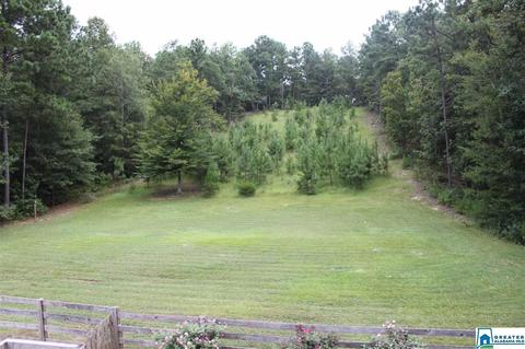 592 County Road 43, Clanton, AL 35046 photo 22
