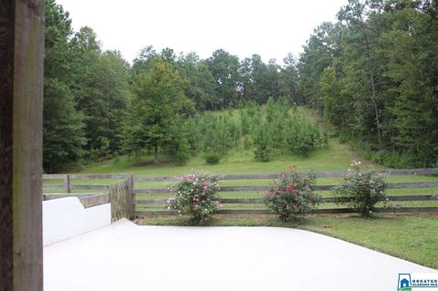 592 County Road 43, Clanton, AL 35046 photo 23