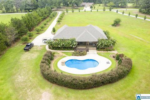 2808 County Road 41, Clanton, AL 35045 photo 30