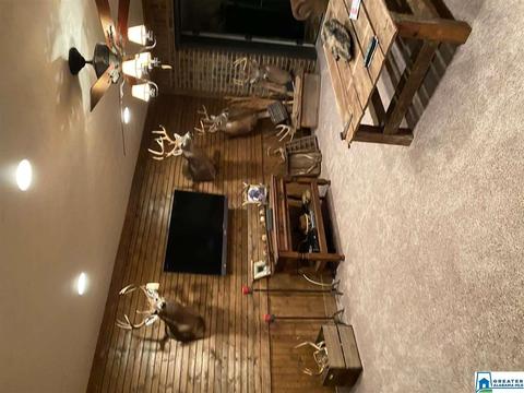 2808 County Road 41, Clanton, AL 35045 photo 22