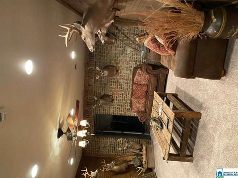 2808 County Road 41, Clanton, AL 35045 photo 21