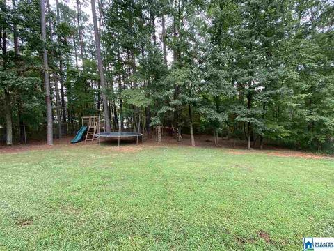 13835 Ginger Dr, Mc Calla, AL 35111 photo 42