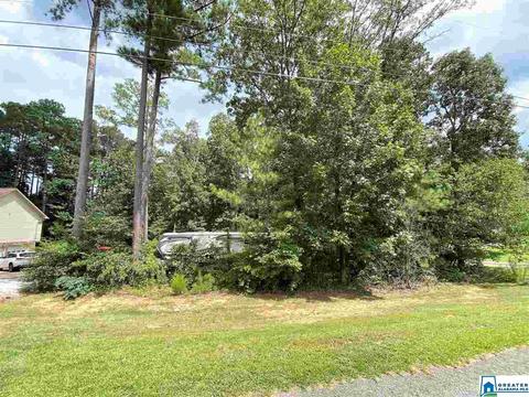 13835 Ginger Dr, Mc Calla, AL 35111 photo 44