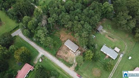19 Pine Tree Dr, Locust Fork, AL 35097 photo 16