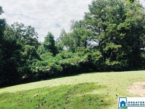 2151 County Road 32, Clanton, AL 35046 photo 14