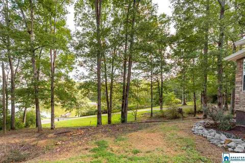 59 Mohawk Trl, Ohatchee, AL 36271 photo 28