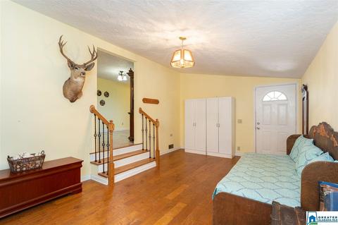 59 Mohawk Trl, Ohatchee, AL 36271 photo 22