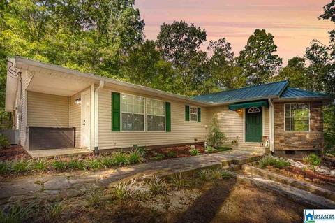 59 Mohawk Trl, Ohatchee, AL 36271 photo 1