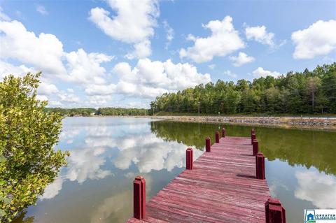 59 Mohawk Trl, Ohatchee, AL 36271 photo 33