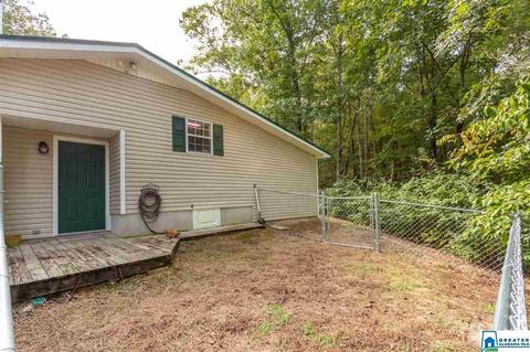 59 Mohawk Trl, Ohatchee, AL 36271 photo 24