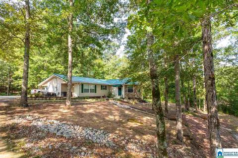 59 Mohawk Trl, Ohatchee, AL 36271 photo 45