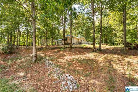 59 Mohawk Trl, Ohatchee, AL 36271 photo 30