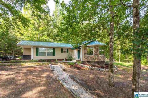 59 Mohawk Trl, Ohatchee, AL 36271 photo 46