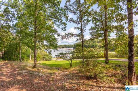 59 Mohawk Trl, Ohatchee, AL 36271 photo 27