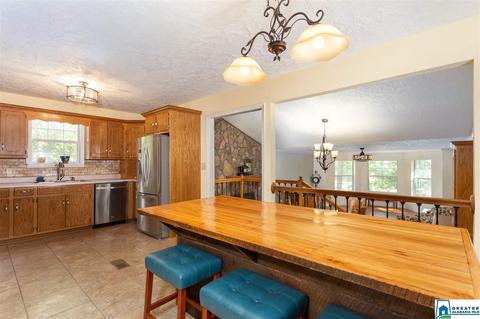 59 Mohawk Trl, Ohatchee, AL 36271 photo 7