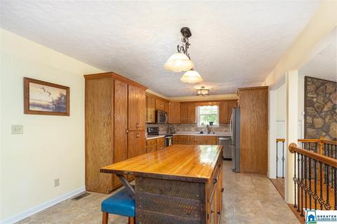 59 Mohawk Trl, Ohatchee, AL 36271 photo 8
