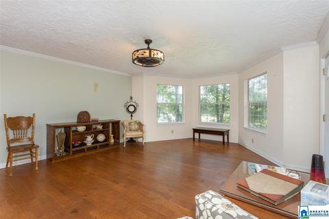 59 Mohawk Trl, Ohatchee, AL 36271 photo 4