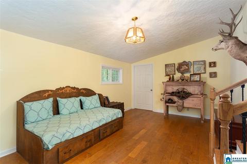 59 Mohawk Trl, Ohatchee, AL 36271 photo 23