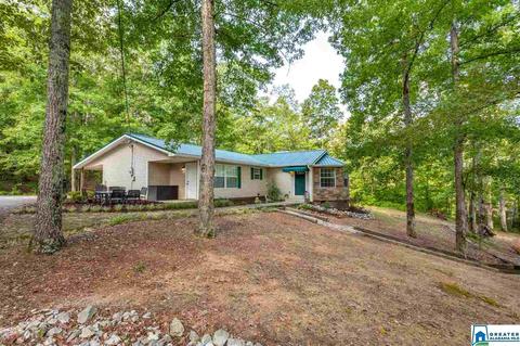 59 Mohawk Trl, Ohatchee, AL 36271 photo 41
