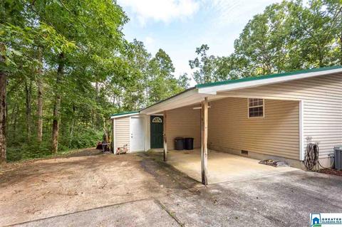 59 Mohawk Trl, Ohatchee, AL 36271 photo 39