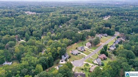 6034 Springview Dr, Mount Olive, AL 35117 photo 48