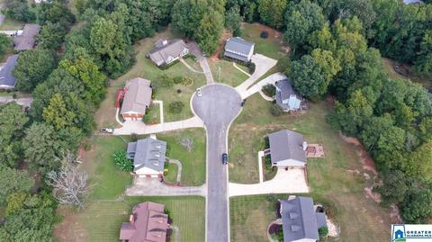 6034 Springview Dr, Mount Olive, AL 35117 photo 47