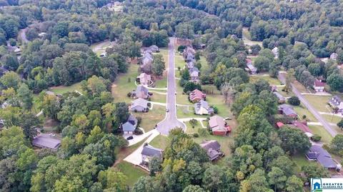 6034 Springview Dr, Mount Olive, AL 35117 photo 49