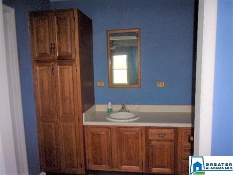 730 Old Mill Loop, Ashland, AL 36251 photo 16