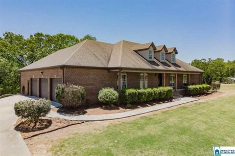3684 Pine Mountain Rd, Remlap, AL 35133 photo 35