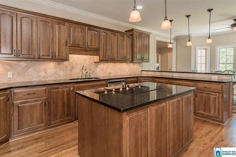 3684 Pine Mountain Rd, Remlap, AL 35133 photo 9