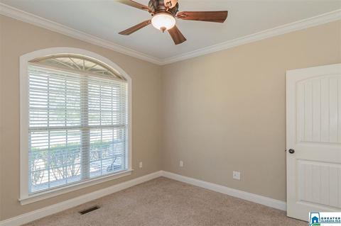 3684 Pine Mountain Rd, Remlap, AL 35133 photo 19