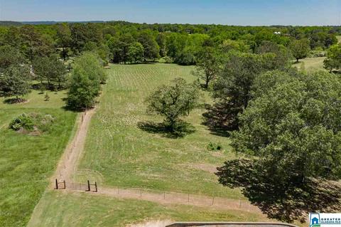 3684 Pine Mountain Rd, Remlap, AL 35133 photo 38