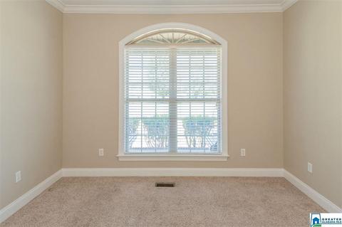 3684 Pine Mountain Rd, Remlap, AL 35133 photo 20