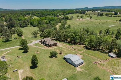 3684 Pine Mountain Rd, Remlap, AL 35133 photo 36