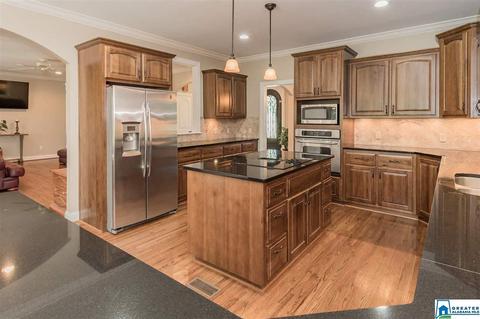3684 Pine Mountain Rd, Remlap, AL 35133 photo 8