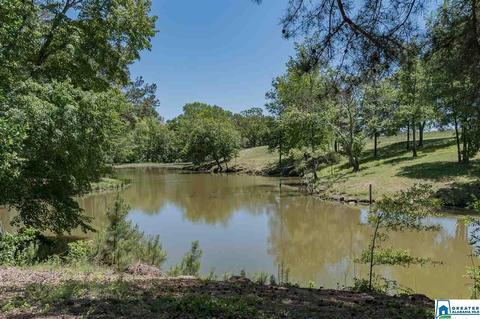 3684 Pine Mountain Rd, Remlap, AL 35133 photo 34