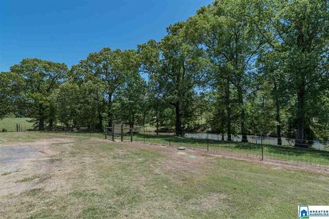 3684 Pine Mountain Rd, Remlap, AL 35133 photo 33