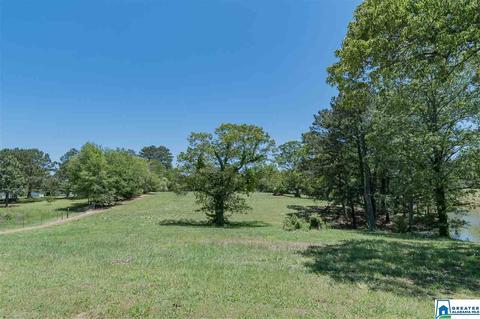 3684 Pine Mountain Rd, Remlap, AL 35133 photo 32