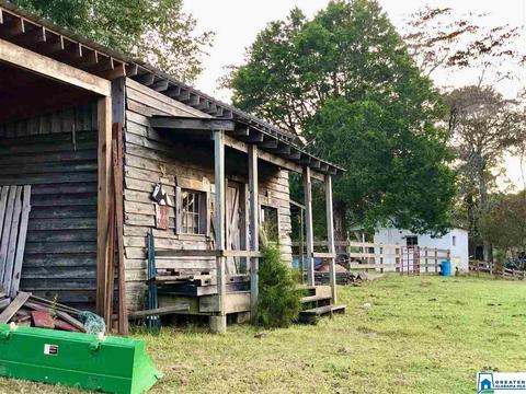 2441 Old Hayden Rd, Warrior, AL 35180 photo 17