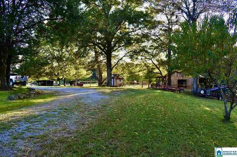 2441 Old Hayden Rd, Warrior, AL 35180 photo 12