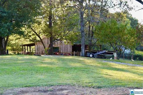 2441 Old Hayden Rd, Warrior, AL 35180 photo 11
