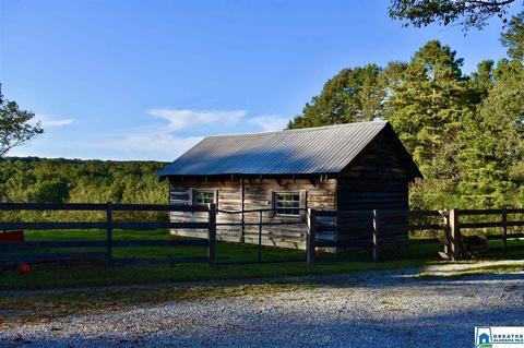 2441 Old Hayden Rd, Warrior, AL 35180 photo 9