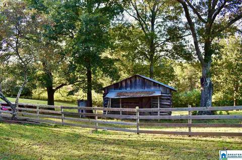 2441 Old Hayden Rd, Warrior, AL 35180 photo 13