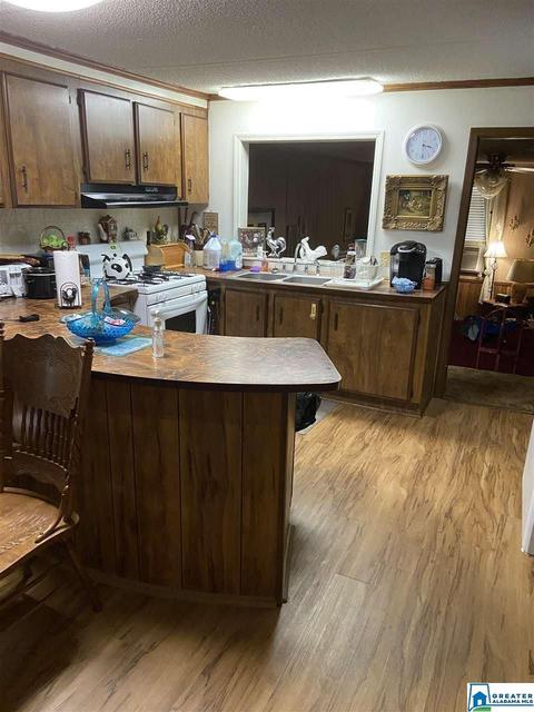 485 Skyline Dr, Warrior, AL 35180 photo 6