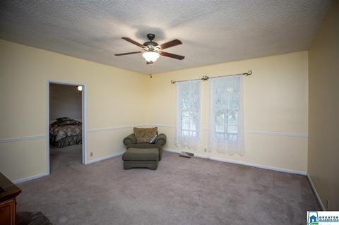1420 Downs Rd, Mount Olive, AL 35117 photo 11