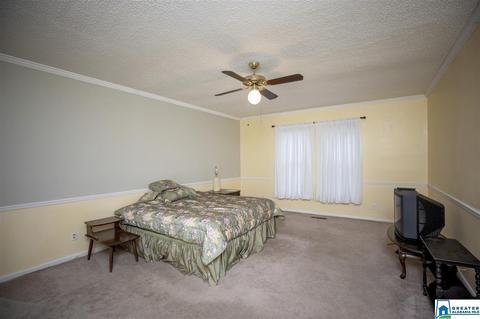 1420 Downs Rd, Mount Olive, AL 35117 photo 14
