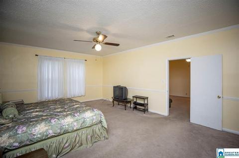 1420 Downs Rd, Mount Olive, AL 35117 photo 16