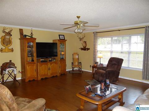 3444 Red Valley Rd, Remlap, AL 35133 photo 5